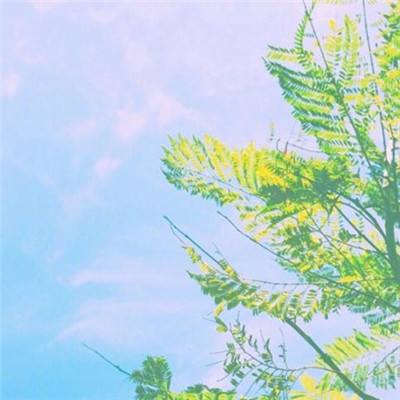 旧手机回收一天一个价
